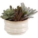 preview thumbnail 1 of 2, Uttermost 60209 Mesa Succulent 8-1/2" Tall Ceramic Faux Flora Planter - Tan Tan