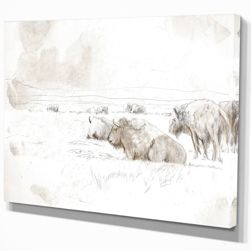 Designart "Wild Bison Buffalo Sketch" Farmhouse Animal Print on Wrapped Canvas