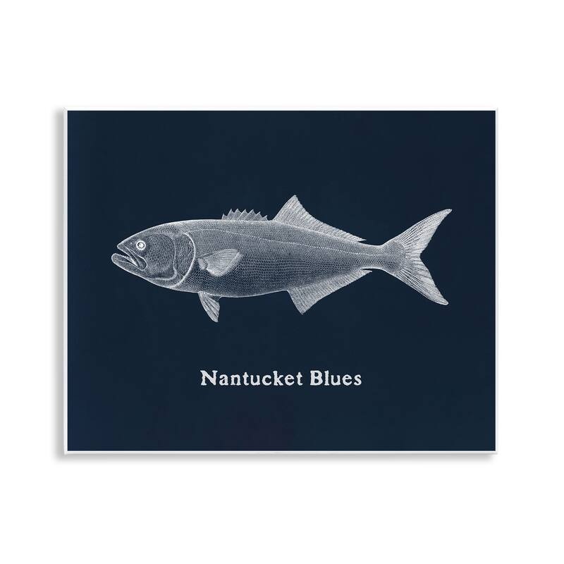 Stupell Nantucket Blues Fish Wall Plaque Art Design By Phillipa Katz - 14 x 11
