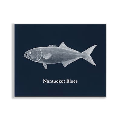 Stupell Nantucket Blues Fish Wall Plaque Art Design By Phillipa Katz