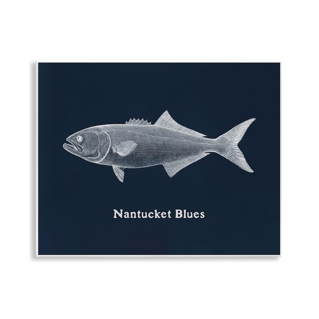Stupell Nantucket Blues Fish Wall Plaque Art Design By Phillipa Katz