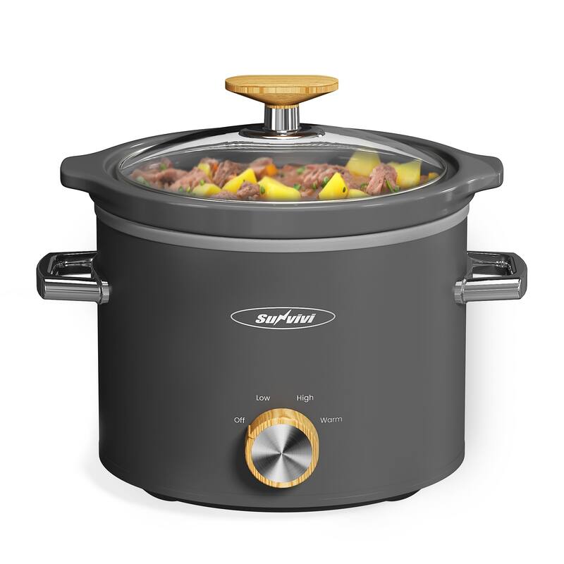 2 Quart Slow Cooker with 3 Heating Settings