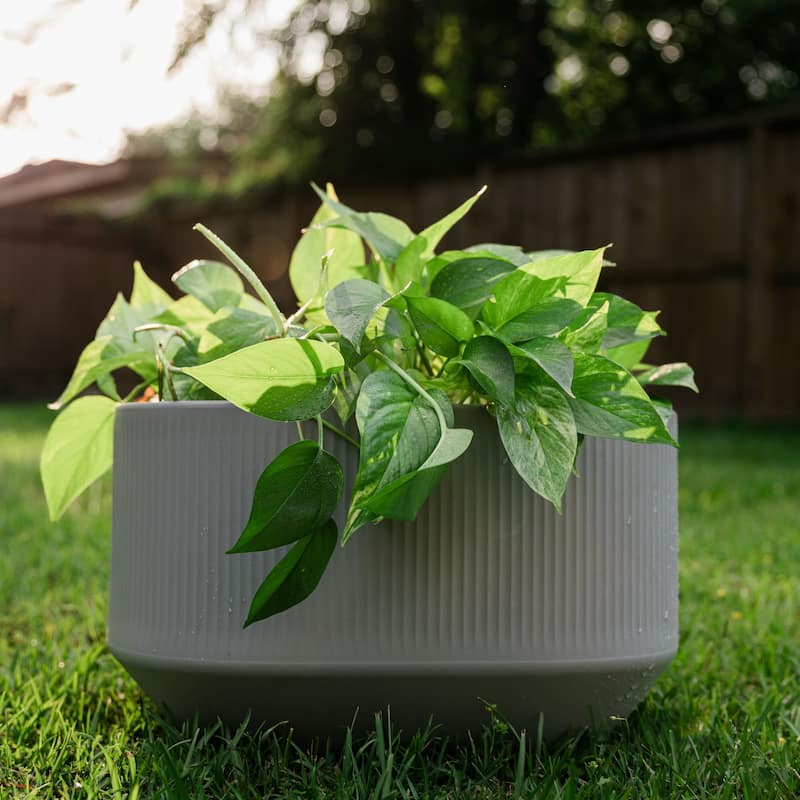 TruDrop Self Watering Modular Planter Box and Troughs with Water Level Indicator