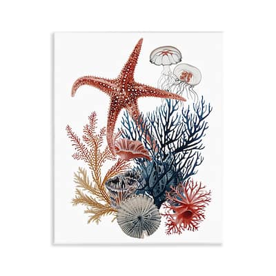 Stupell Natural Aquatic Sea Creatures Wall Plaque Art Design By Ramona Murdock