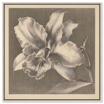 Petals Unfurled I Canvas by Art Remedy