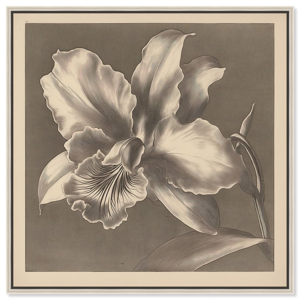 Petals Unfurled I Canvas by Art Remedy