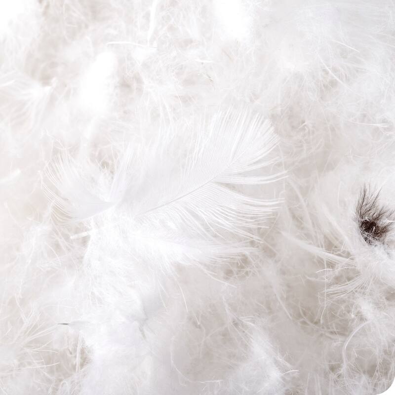 Bare Home All Season Ultra-Soft Duck Down Comforter