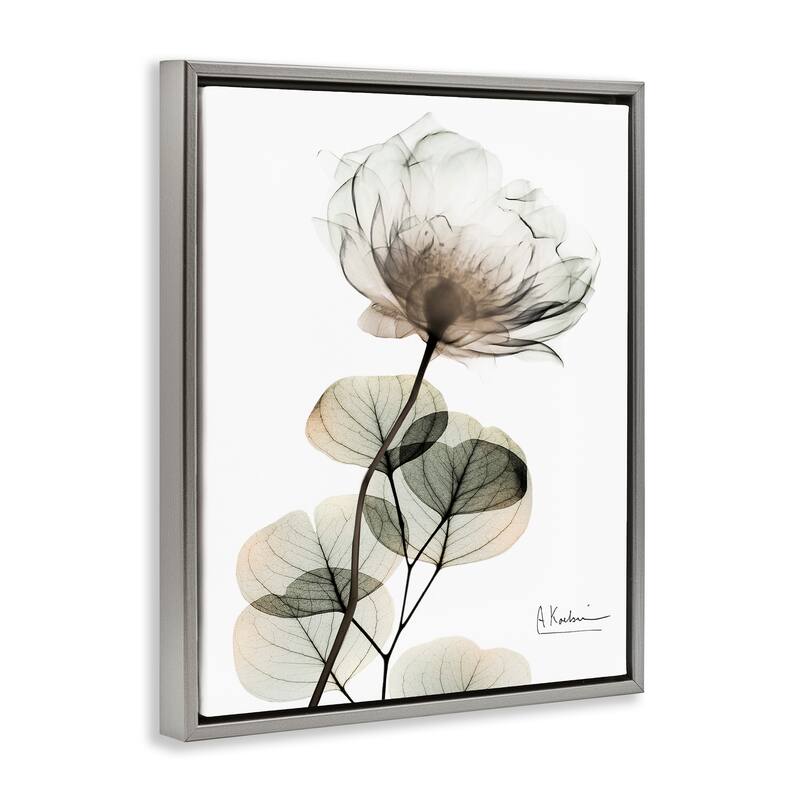 Stupell Simple Elegant White Flower Framed Floater Canvas Wall Art Design By Albert Koetsier