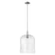 Option Polished Nickel / Seedy Shade