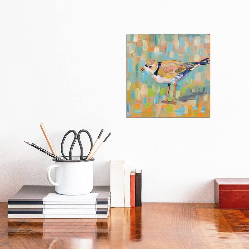 iCanvas "Coastal Plover IV" by Jeanette Vertentes Canvas Print - 12x12x0.75