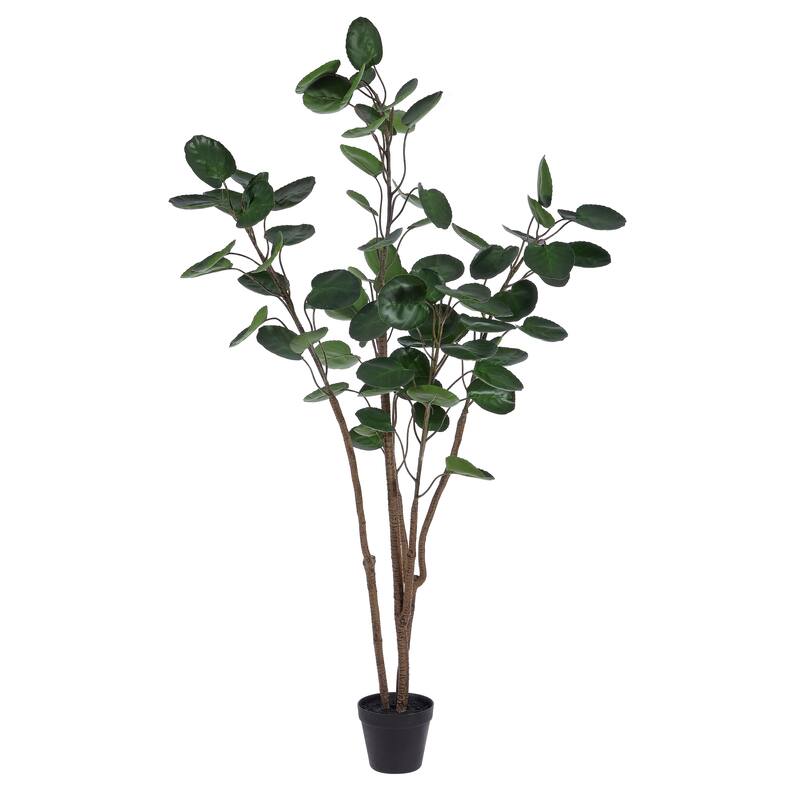 SAFAVIEH Debbra Faux Polyscias Potted Tree - 19.7" W x 19.7" L x 59" H - 20Wx20Dx59H