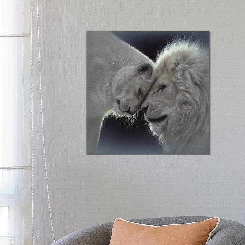 iCanvas "White Lion Love, Square" by Collin Bogle Canvas Print - 26x26x1.5