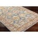 preview thumbnail 15 of 26, Terriey Traditional Area Rug