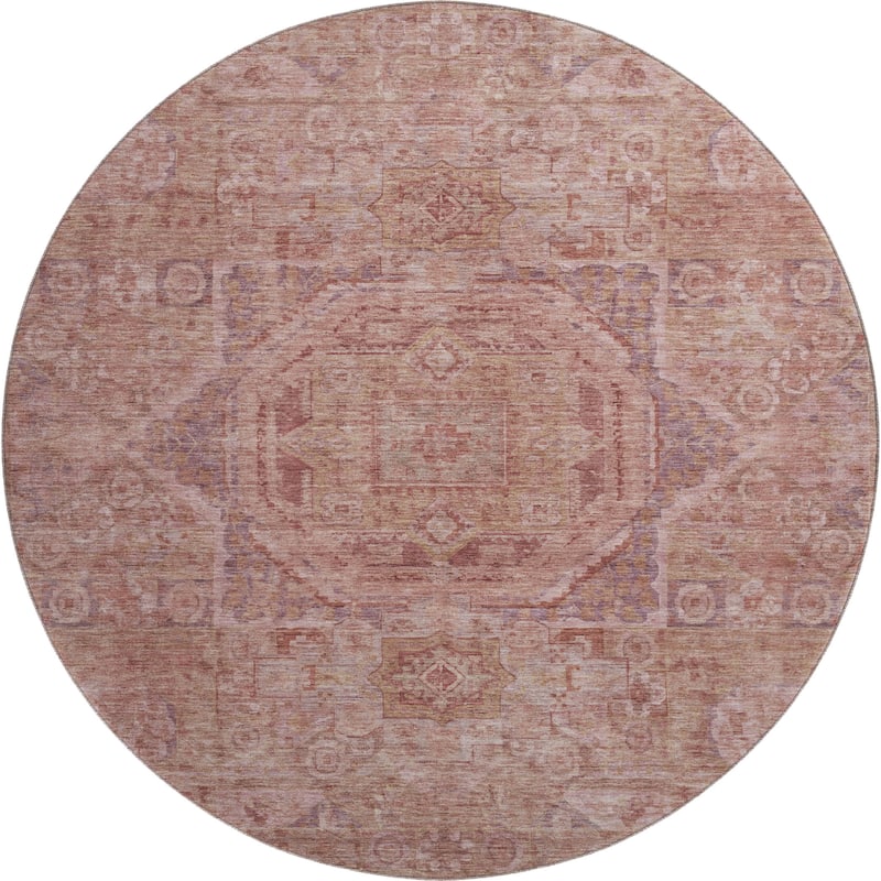 Premium Washable Super Soft Vintage Traditional Mayfield Rug