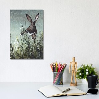 iCanvas "Airborne" by Maggie Vandewalle Canvas Print