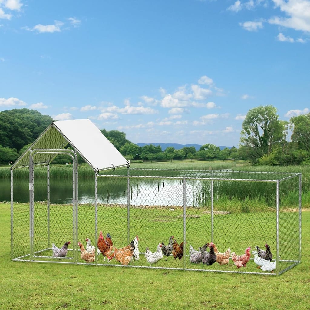 Large Metal Chicken Coop 10x3.3x5FT Outdoor Heavy Duty Walk-in Poultry Cage