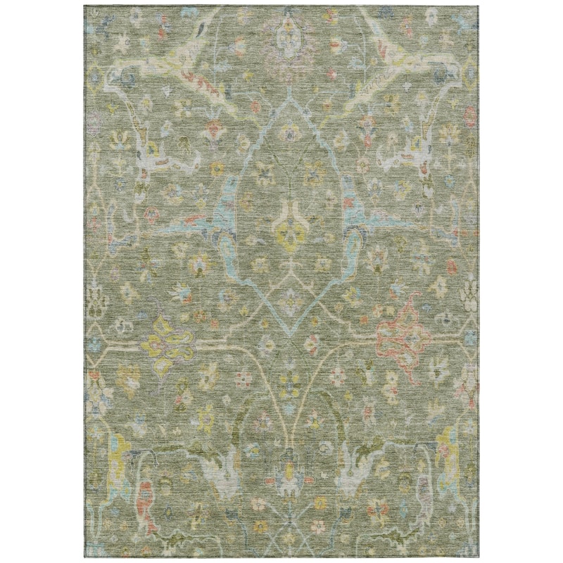Machine Washable Indoor/ Outdoor Traditional Vintage Chantille Rug