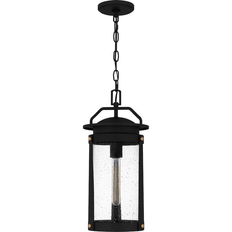 Clifton 1-Light Earth Black Outdoor Hanging Lantern