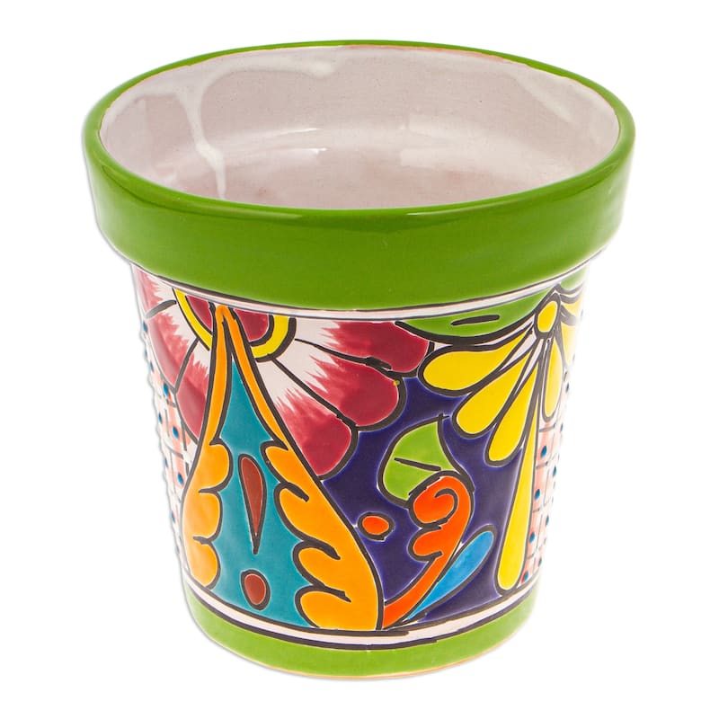 Novica Handmade Kiwi Elysium Ceramic Flower Pot