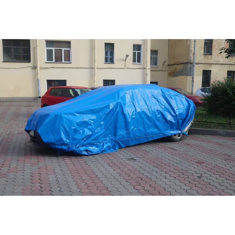 Boen 10' x 12' Blue All-Purpose Polyethylene Tarps, 2Pk
