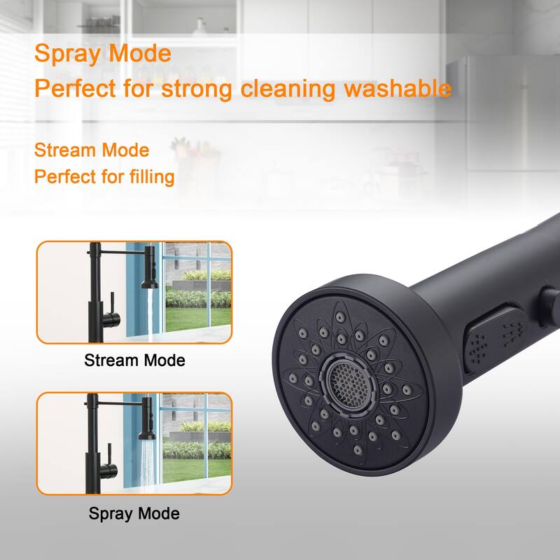 Kitchen Sink Faucet with Separate Handle, Matte Black
