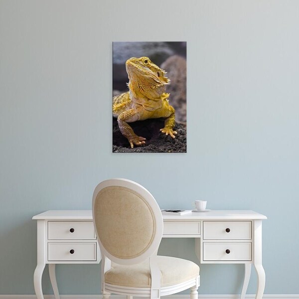 Easy Art Prints Adam Jones's 'Bearded Dragon' Premium Canvas Art