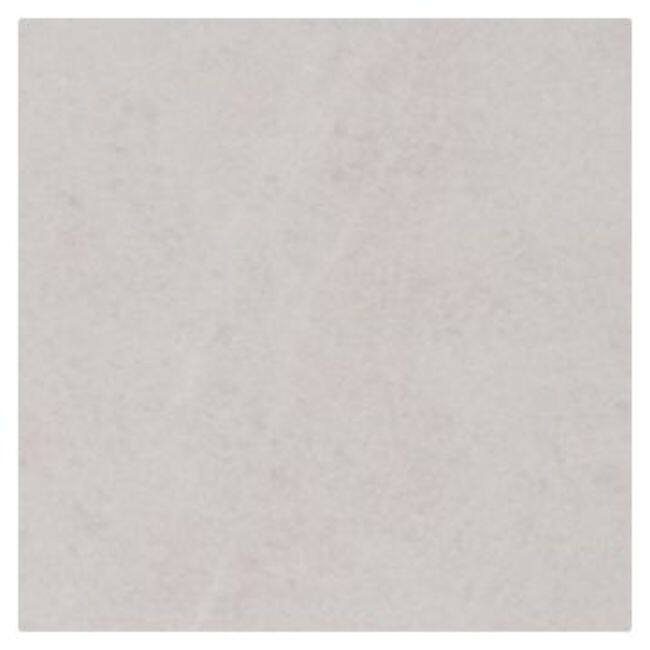 Shaw 441TS Fervor - 22" x 22" Floor and Wall Tile - Sold by Carton - Radiance