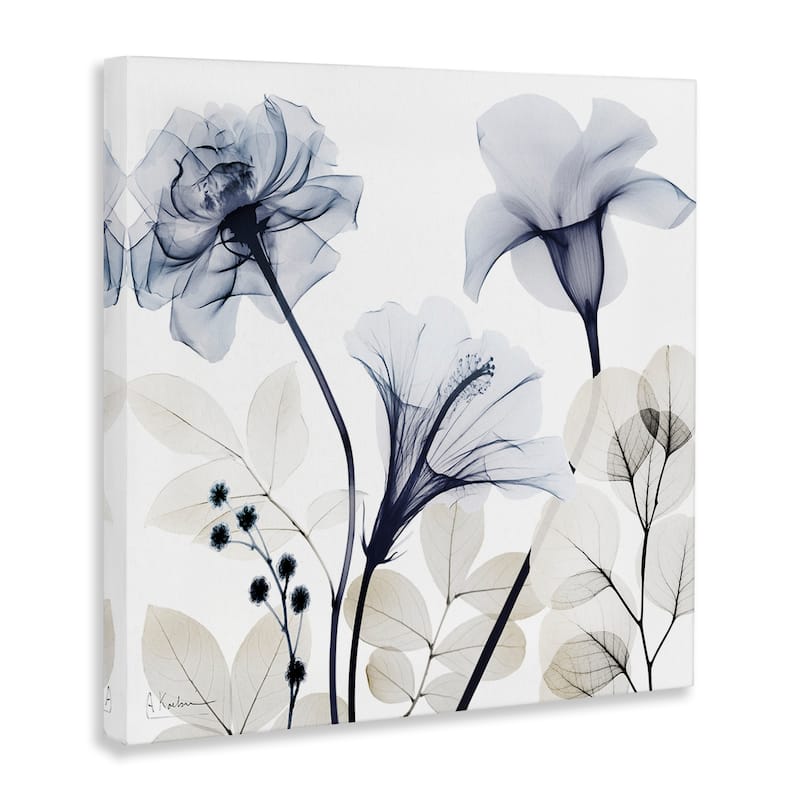Stupell Sophisticated Minimal Flowers Canvas Wall Art Design By Albert Koetsier