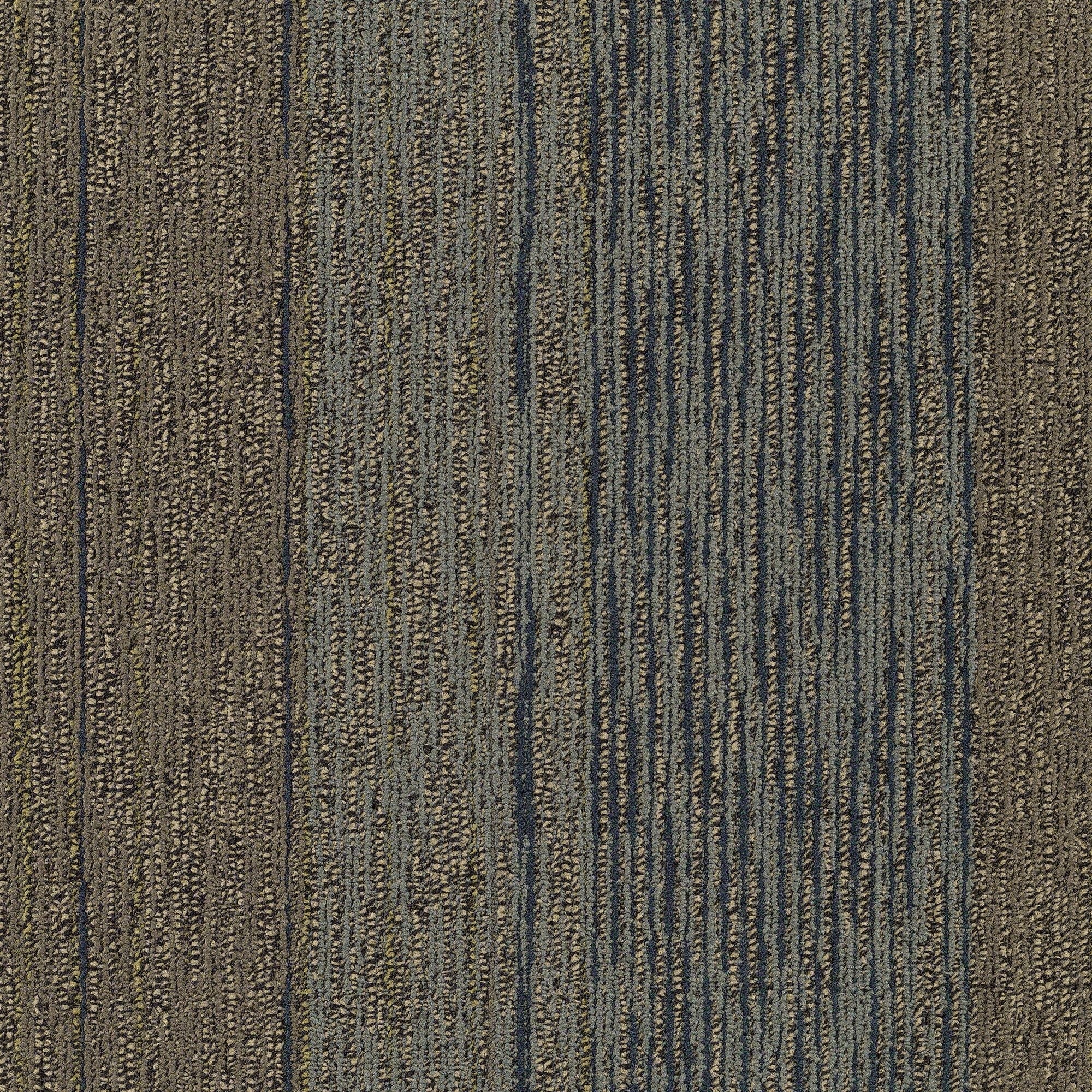 Shaw Philadelphia Commercial Unscripted 24" x 24" Glue Down Carpet