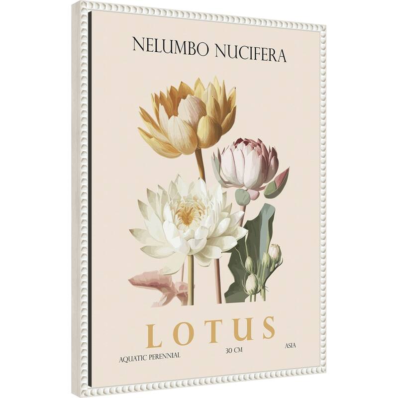 Vintage Botanical Lotus Illustration by Christopher Giampietro Framed Canvas Wall Art Print