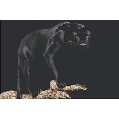 Black Panther Wildlife Art Poster - 36 x 24 Inch