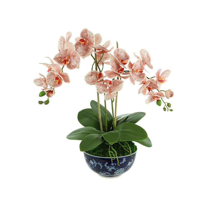 Orchid Floral Arrangement in a Ceramic Bowl