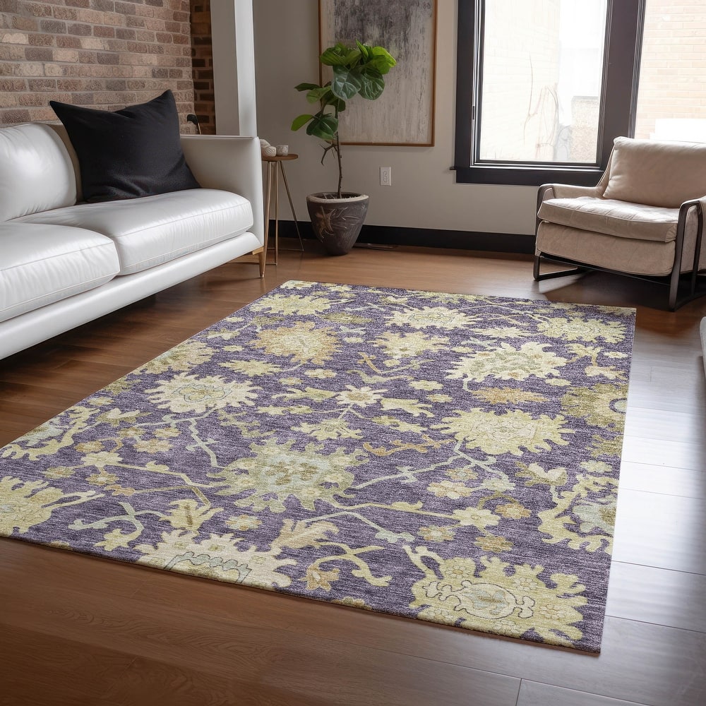 Machine Washable Indoor/ Outdoor Traditional Casual Chantille Rug