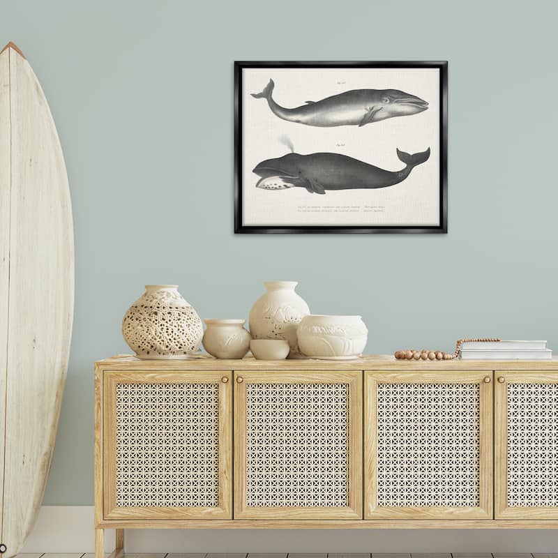 Stupell Vintage Whale Study Diagrams Framed Floater Canvas Wall Art Design By Phillipa Katz