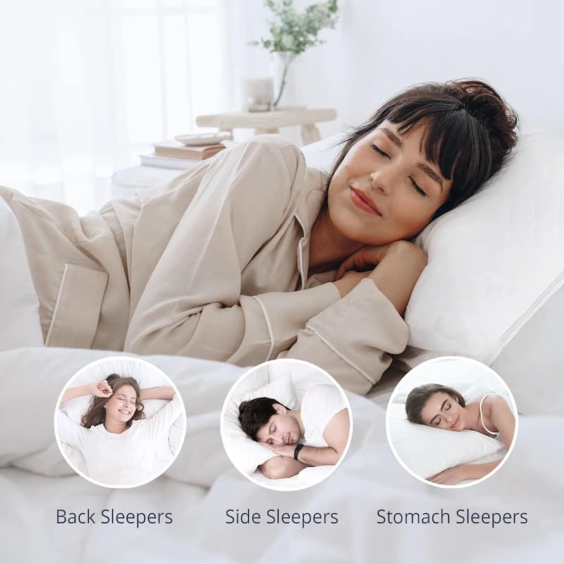 2 Pack Goose Feather Down Pillows with Quilted Cotton Cover - White