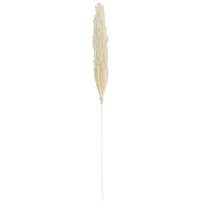 Dried Plant Pampas Grass Tall Home Decor Natural Foliage - Brown - Roche River Decor
