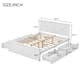 Option Antique White