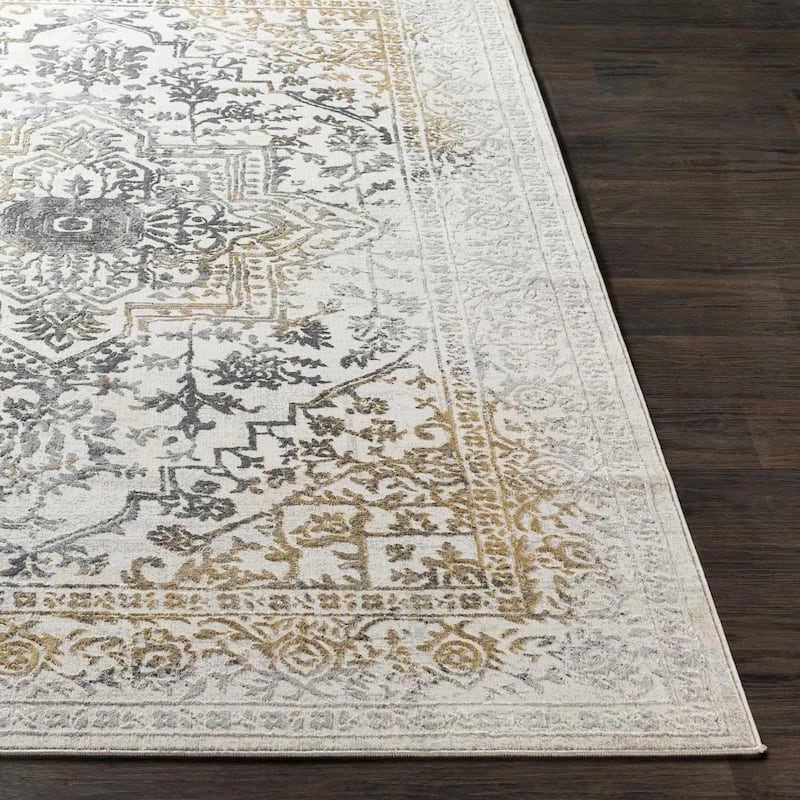 Livabliss Traditional Aisha Medallion Area Rug
