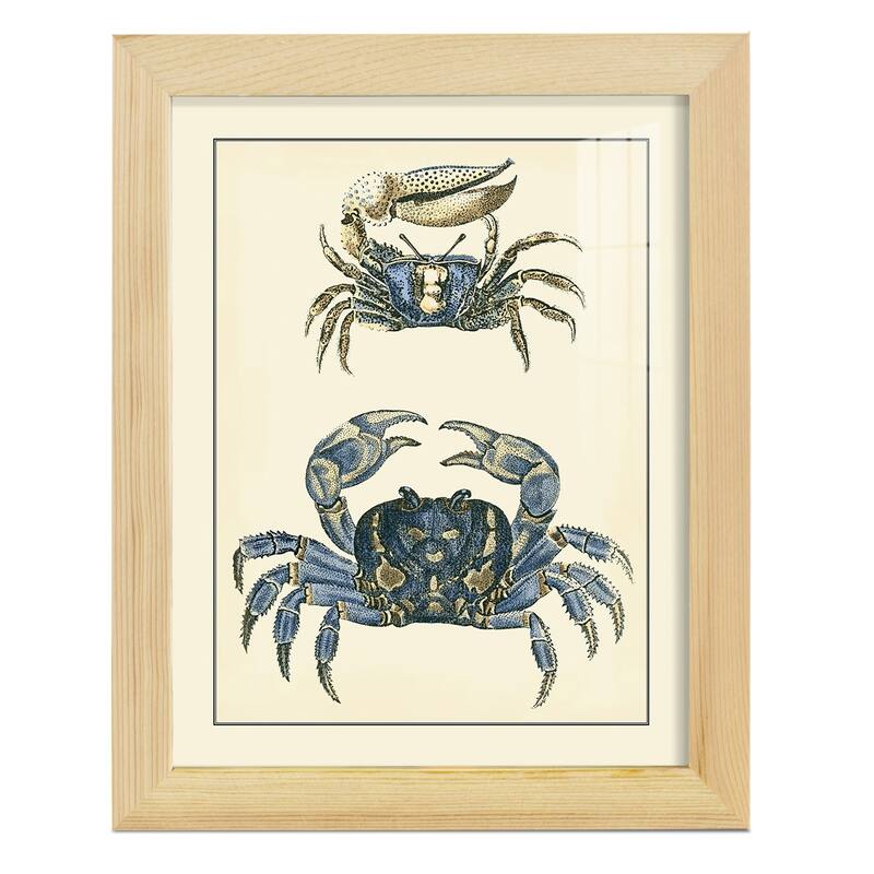 Antique Blue Crabs II -Framed Print w/glass-Cherry Red