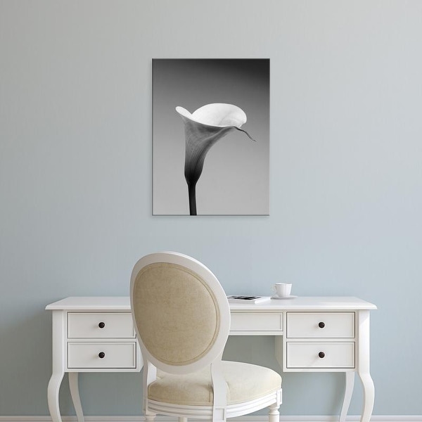 Easy Art Prints PhotoINC Studio's 'Calla No. 3' Premium Canvas Art