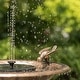 preview thumbnail 8 of 12, Garden Bird Bath and Solar Powered Round Pond Fountain - Copper - 17" W x 17" D x 23.75" H