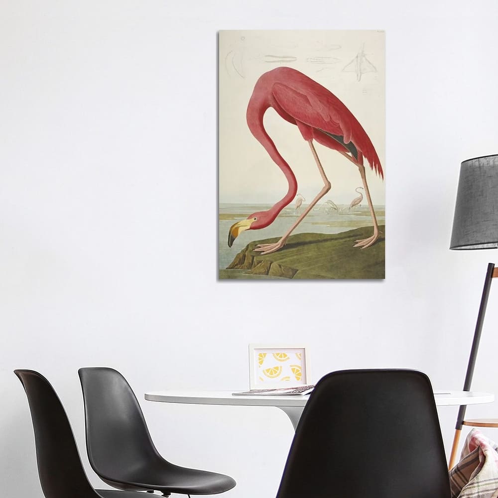 iCanvas 'American Flamingo' by John James Audubon Canvas Print