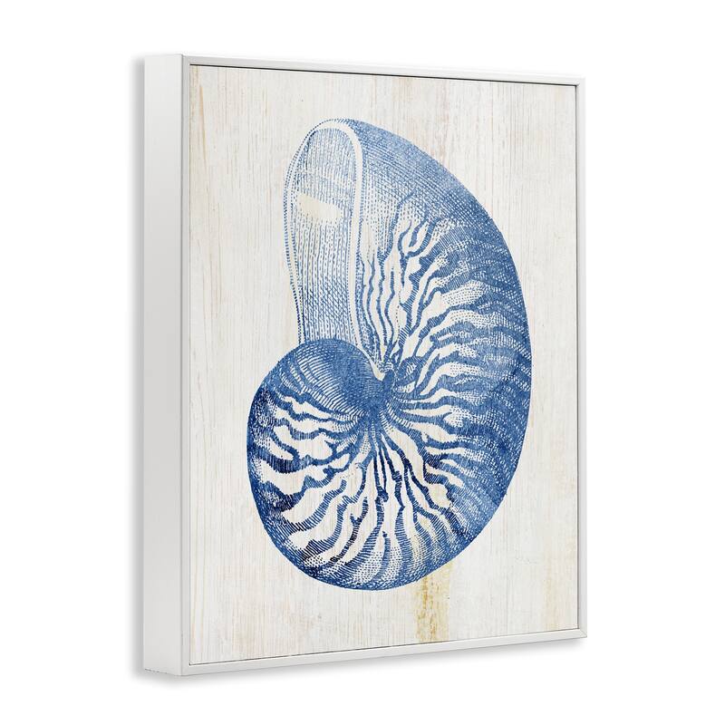 Stupell Blue Nautilus Shell Framed Giclee Art Design By Susan Arnot