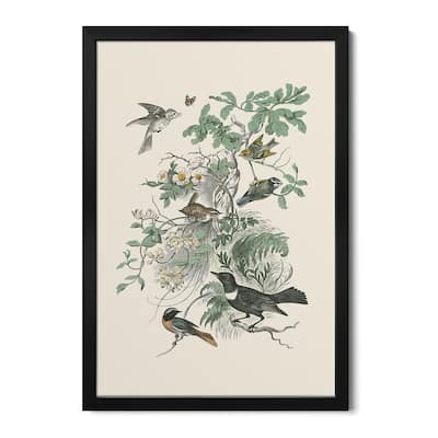 Honeybloom Bird II Premium Framed Poster by Wild Apple Portfolio