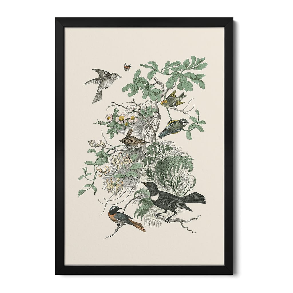 Honeybloom Bird II Premium Framed Poster by Wild Apple Portfolio