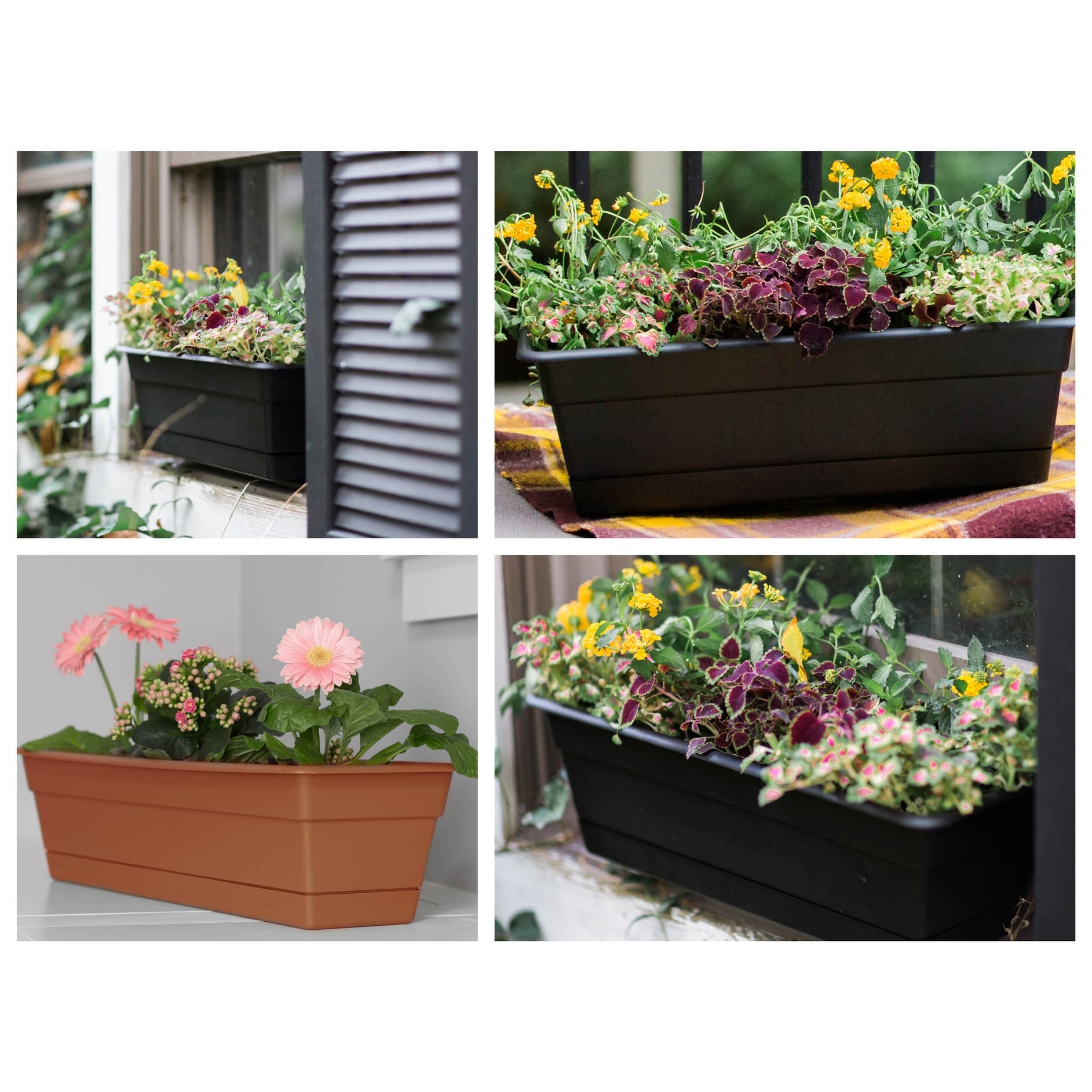 1 x 60cm Trough Planter Window Box Versilia Pot Black Drip Saucer Plant 