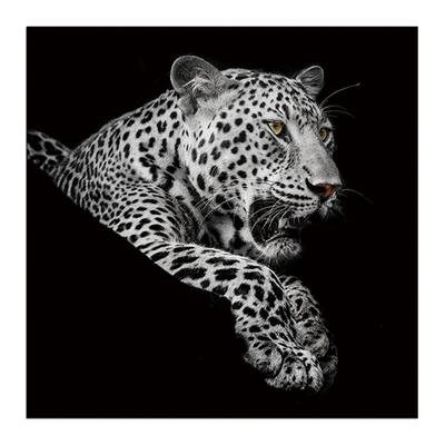 Clihome 40" X 40" Oppidan Home "Leopard in Black and White" Acrylic Wall Art