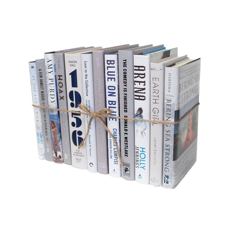 Books Blue Decorative Accessories: Blue Ice Mixed Media ColorPak
