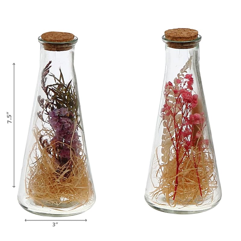 IH Casa Decor Dried Floral Arrangement In Glass Triangular Tube Asstd - Set of 2