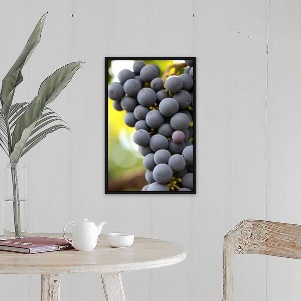grapes picture framing